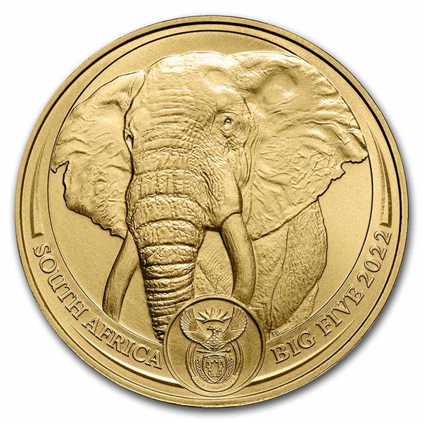 Gold South African Big Five Elephant Coin 2022- 1oz