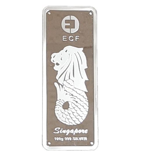 Silver Excelsior Capital Finance Bar - 100 g